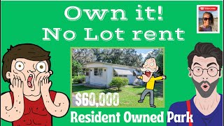 These Mobile Homes For Sale w NO LOT RENT  Zephyrhills Florida [upl. by Eenal]