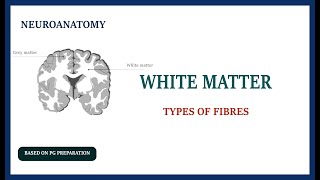 WHITE MATTER  TYPES OF FIBRES  NEUROANATOMY [upl. by Aina]