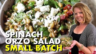 Spinach Orzo Salad  Healthy Small Batch Recipe [upl. by Materse]