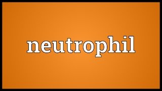 Neutrophil Meaning [upl. by Enidualc480]