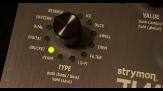 Strymon  Timeline dbucket analog delay [upl. by Cirilo798]