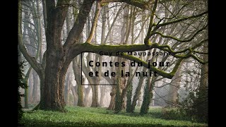 Maupassant  Contes du jour et de la nuit 1121 Coco  Livre Audio [upl. by Uno]