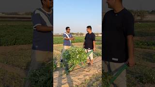 Salary in Village vs City dubai funny comedy shortsvideo Village provikrant [upl. by Scarlett853]