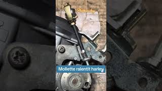 Molette de ralentit cv40 custom [upl. by Bouley]