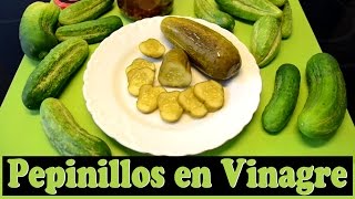 ¿Cómo hacer Pepinillos en Vinagre Las Recetas del Hortelano [upl. by Conte]