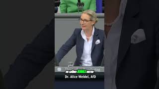 ALICE WEIDEL  Merkels Fehlentscheidungen Deutschlands Weg in die Krise [upl. by Lianne]