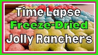 Time Lapse of Freeze Dried Jolly Ranchers Candy [upl. by Amihc70]