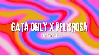 GATA ONLY X PELIGROSA FloyyMenor Jr Stit Mashup [upl. by Couhp]