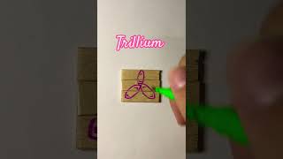 Trillium kryptontesla howtodraw drawingtutorials viralvideoshorts flowers [upl. by Seena]