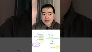 Beta Lactam Antibiotics  Bite Size Pharmacology EP01 science pharmacology pharmacy antibiotics [upl. by Nylecaj48]