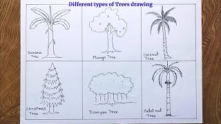 How to draw different types of trees step by step so easy for beginners [upl. by Graff]