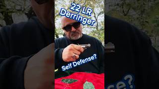 22 LR Derringer For Self Defense  North American Arms  Concealed Carry [upl. by Enahsal662]