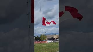 halfmast flag globalvillagertf halfmast flag [upl. by Laehcar]