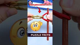 How to solve Tricky ring puzzle  Puzzle Facts  Hand craft ideas puzzle shorts [upl. by Stalder823]