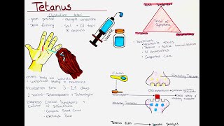 Tetanus Clostridium tetani  Microbio Symptoms Diagnosis Treatment Prevention etc [upl. by Amlet]