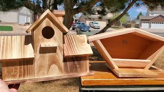 Cedar Dove Nesting Box Compared to Coleba Bird Nesting Boxes Review [upl. by Ellimaj191]