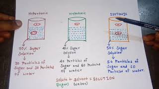 Hypertonichypotonic amp isotonic solutionmade easyHindi [upl. by Imef247]