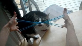 How to do Cat Whiskers with string step by step Kitty Whiskers [upl. by Eddy]