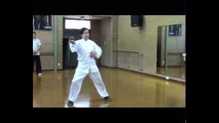 4 Movement Chen Tai Chi 5 Element Routine [upl. by Ynnej845]