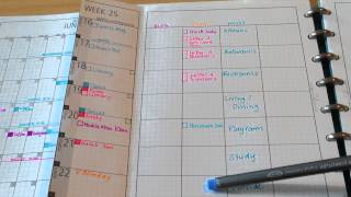 My Planner  With DIYfish Inserts v21 [upl. by Arahs]