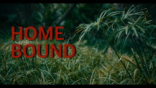 HOMEBOUND  Two Minute Short Film [upl. by Nikolaus]