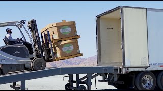 Organic Hard Squash Harvest and Packing  California [upl. by Sevik711]