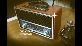 Radio VINTAGE Meier M 157BT REVIEW [upl. by Saitam]