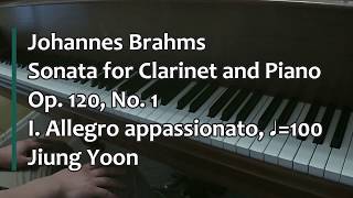 Piano Part Brahms Clarinet Sonata Op 120 No 1 I Allegro appassionato ♩100 [upl. by Tamanaha706]