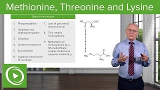 Methionine Threonine and Lysine Metabolism – Biochemistry  Lecturio [upl. by Eliam]