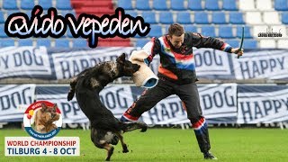 WUSV 2017 Vaclav Ouska Qvido Vepeden C Protection 90pts [upl. by Arotak]