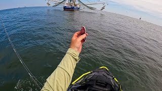 I Tossed THIS Behind a Shrimp Boat and IMMEDIATELY Got SMOKED [upl. by Aim]