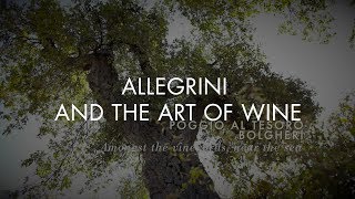 ALLEGRINI AND THE ART OF WINE [upl. by Negris831]