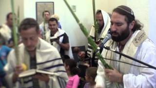 Yehuda Solomon Moshav Band leads Sukkot Hoshana Rabah at Happy Minyan of Los Angeles 12 [upl. by Marcellina714]