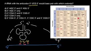 Codon and anticodon [upl. by Deer]