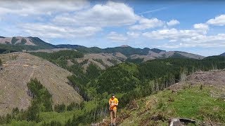 How Rayonier Foresters Use Drones in the Field [upl. by Oiliruam549]