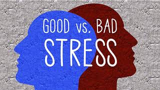 Good Stress Eustress vs Bad Stress Distress eustress distress goodstress badstress stress [upl. by Adis636]