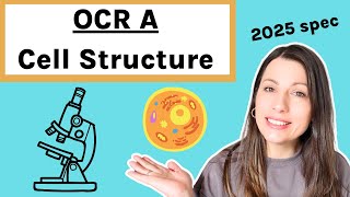 Cell Structure Topic 211 OCR A Alevel Biology  Cell Structure amp Function  Microscopes [upl. by Aneelad]