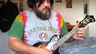 Easy mandolin lesson  Led Zeppelin [upl. by Notled]