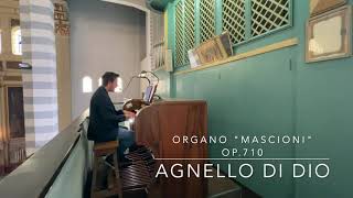 Agnello di Dio  Andrea Toscano Organista [upl. by Percival]