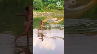 River Fishing villagefishing shortvideo fish youtube fishing youtubeshorts village [upl. by Zetnwahs56]