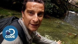 Bear Grylls in Borneo Jungle  Man vs Wild 56 [upl. by Einnob]