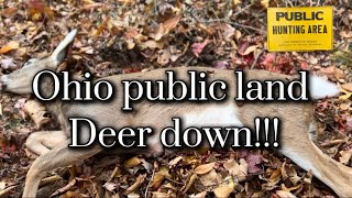 FIRST PUBLIC DEER  OHIO DEER HUNTING [upl. by Ahsienak134]