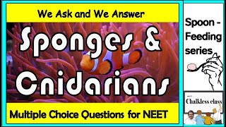 Sponges and Cnidarians in NCERT BIOLOGY [upl. by Ansley73]