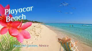 Playacar Beach Walk One of the Best Beaches in Mexico [upl. by Leugimesoj233]