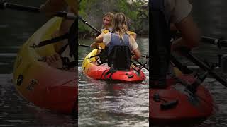 Kayak Adventure at Curaçao Rif Mangrove Park shorts [upl. by Jacqui152]