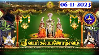 Srivari Kalyanotsavam  Tirumala  SVBC2 Tamil  06112023  SVBC TTD [upl. by Anertal449]