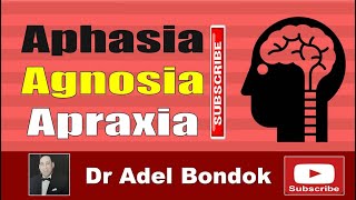 Aphasia Agnosia and Apraxia Dr Adel Bondok Making Anatomy Easy [upl. by Babby]