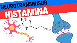 Fisiología de la HIstamina Neurociencias 14 [upl. by Trakas582]