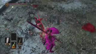 Farron Greatsword Backstab [upl. by Torosian]