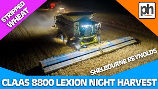 CLAAS 8800 Nightime Wheat Harvest with Shelbourne Reynolds Stripper Header harvest2022 [upl. by Pollack64]